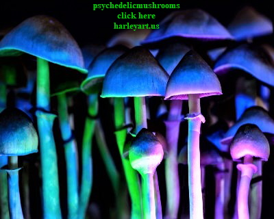 psychedelicmushrooms
click here
harleyart.us